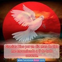 Luis Stalin  Alvarez Miranda