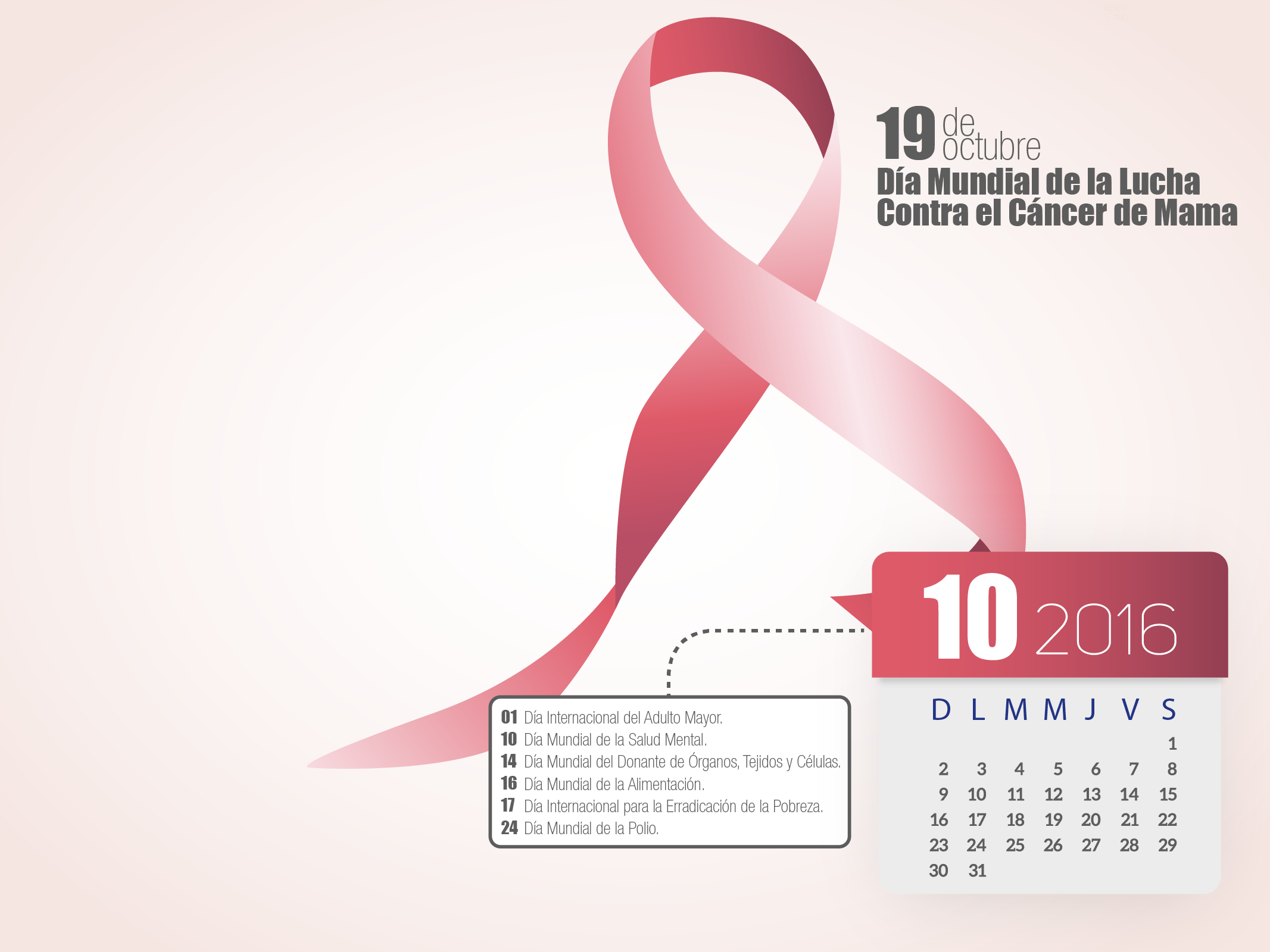 JOHAN RUBEN QUIÑONEZ CABEZA